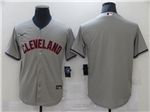 Cleveland Indians Gray Cool Base Team Jersey