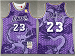 Los Angeles Lakers #23 LeBron James Year Of the Dragon Purple Hardwood Classics Jersey