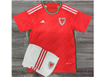 Wales 2022/23 Home Red Soccer Jersey