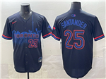 Toronto Blue Jays #25 Anthony Santander Black 2024 City Connect Limited Jersey